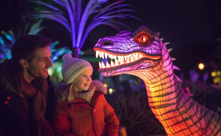 Wunderlight im Wunderland Kalkar – Vier magische Welten zum Staunen und Träumen