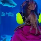 „Stiller Tag“ im SEA LIFE Timmendorfer Strand  am 24. April 2026