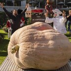 Nordischer Rekord im Tivoli: Riesenkürbis bringt 1.198 Kilogramm auf die Waage