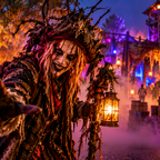 Walibi Holland blickt auf die kommenden Halloween Fright Nights