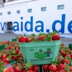 Kussmund trifft Erdbeere - AIDA Cruises und Karls starten süße Kooperation