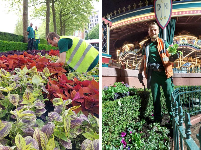 Blühende Vielfalt und Nachhaltigkeit: Die Verwandlung der Blumenbeete in Disneyland Paris
