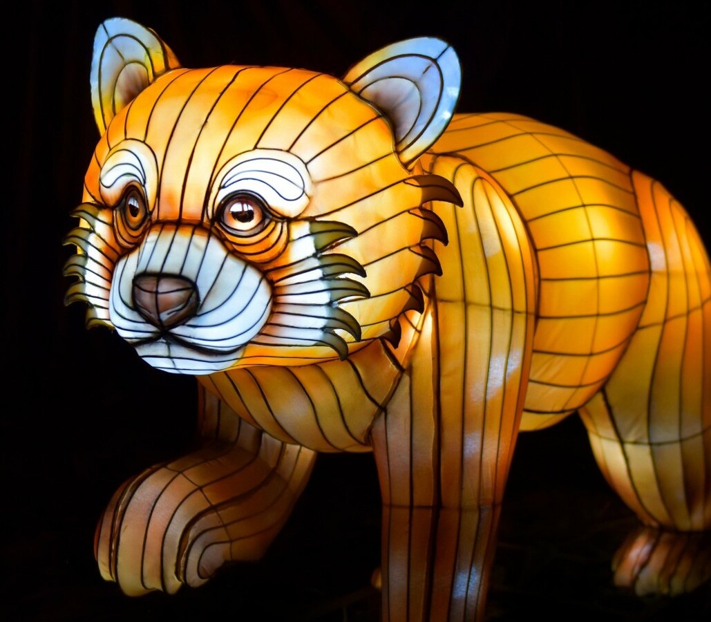 Lichterfestival im Serengeti-Park Hodenhagen: Ein Wintertraum im Herzen der Wildnis